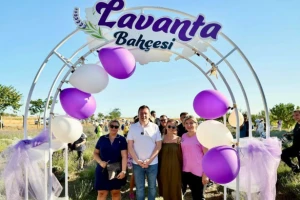 Geleneksel Lavanta Hasat Şenliği gerçekleşti