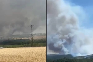 Silivri Çanta Çamlık’ta Orman Yangını!