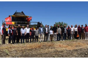 SİLİVRİ’DE KANOLA VE BUĞDAY HASADI TÖRENLE BAŞLADI