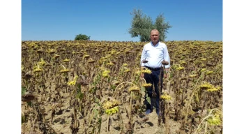 CHP Tekirdağ Milletvekili Aygun’dan kuraklık için yasa teklifi