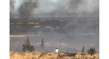 Enez’de orman yangını paniği... Gülçavuş sahili boşaltılıyor