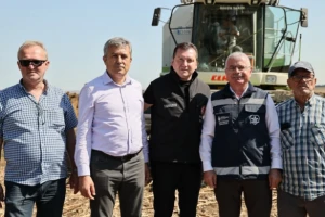 Gazitepe’de 60 Dekar Alanda Yağlık Ayçiçeği Hasadı Gerçekleştirildi