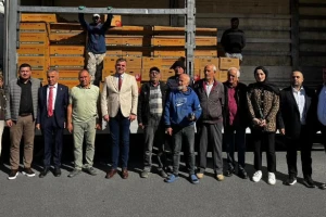 Değirmenköy ve Müjdat Gürsu Stadı Yanı’nda Çiftçilere 100.800 Adet Fide Dağıtıldı