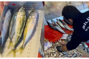 Silivri’de Balık Denetimleri Sürüyor