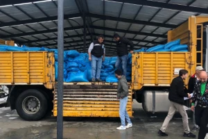 Tritikale yemleri vatandaşlara ulaştırılmaya devam ediyor