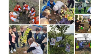 Atatürk’ten ilhamla yeşil vatan... Okullarda fidanlar Atatürk ve vatan sevgisi mesajlarıyla toprakla buluştu