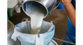 Çiğ sütte beklenti karşılanmadı! Referans fiyat açıklandı