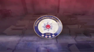 İstanbul Küçükçekmece’de 527 kilo skunk ele geçirildi