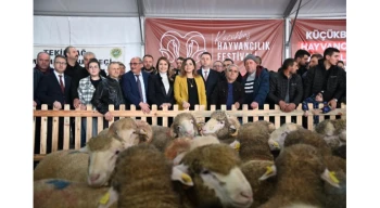 Trakya’nın ilk Küçükbaş Hayvancılık Festivali Malkara’da coşkuyla başladı