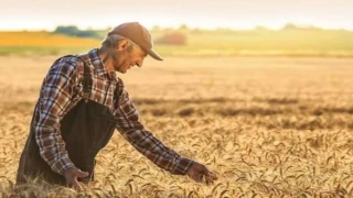 Tarım ürünlerinde fiyat artışı sürüyor... Tarım-ÜFE yıllık yüzde 42,53 yükseldi