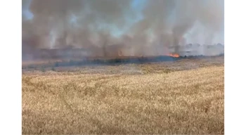 Uzunköprü’de buğday yangını korkuttu
