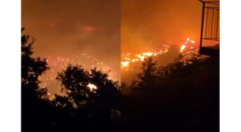 Alanya yangınında durum vahim
