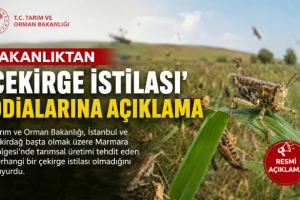 Tarım ve Orman Bakanlığı'ndan 'çekirge istilası' iddialarına açıklama