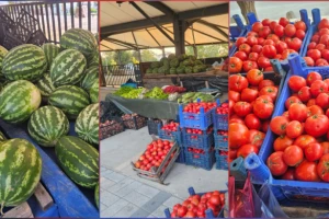 Değirmenköy Köylü Pazarı'nda yerli ürün sezonu başladı