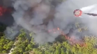 Muğla’da başlayıp Kaş’a sıçradı! Müdahale sürüyor