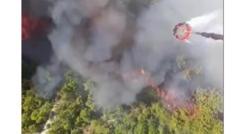 Muğla’da başlayıp Kaş’a sıçradı! Müdahale sürüyor