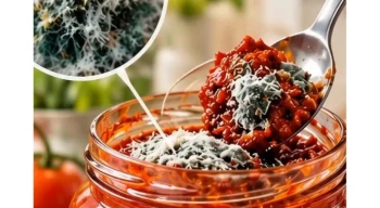 Gıda ve Kontrol Genel Müdürlüğü uyardı: Küflü salçayı tüketmeyin!