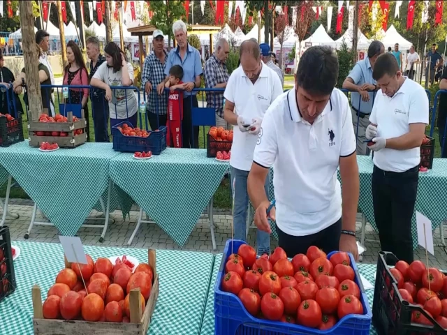 38. Değirmenköy Domates Festivali